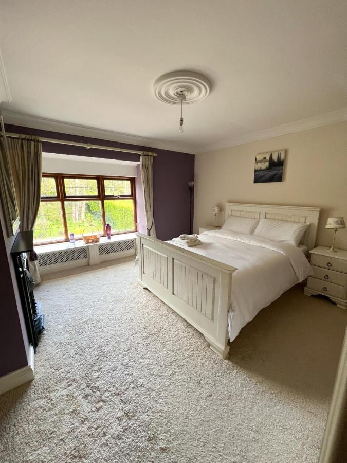 King Room with Garden View
