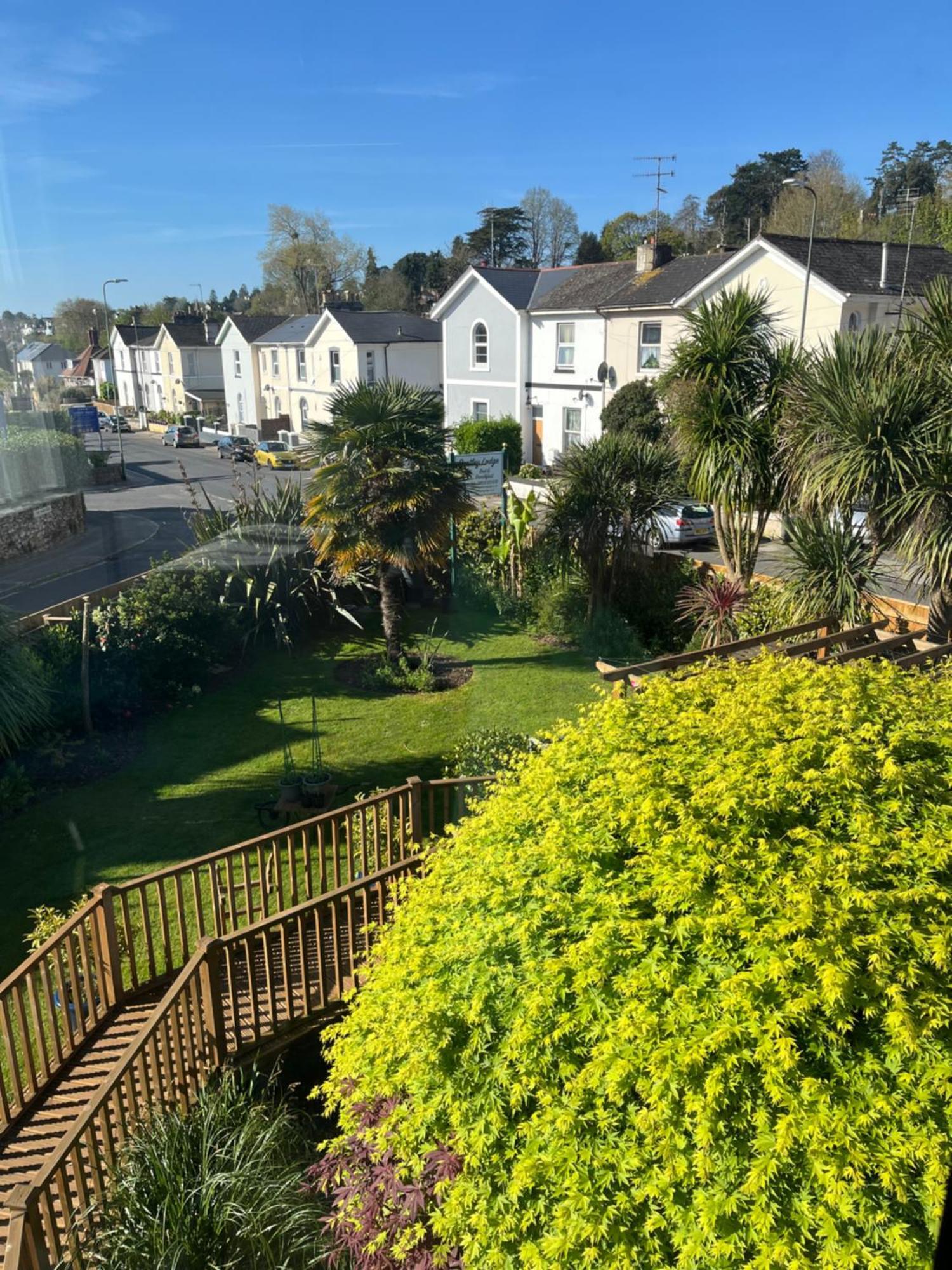 King Room Garden View