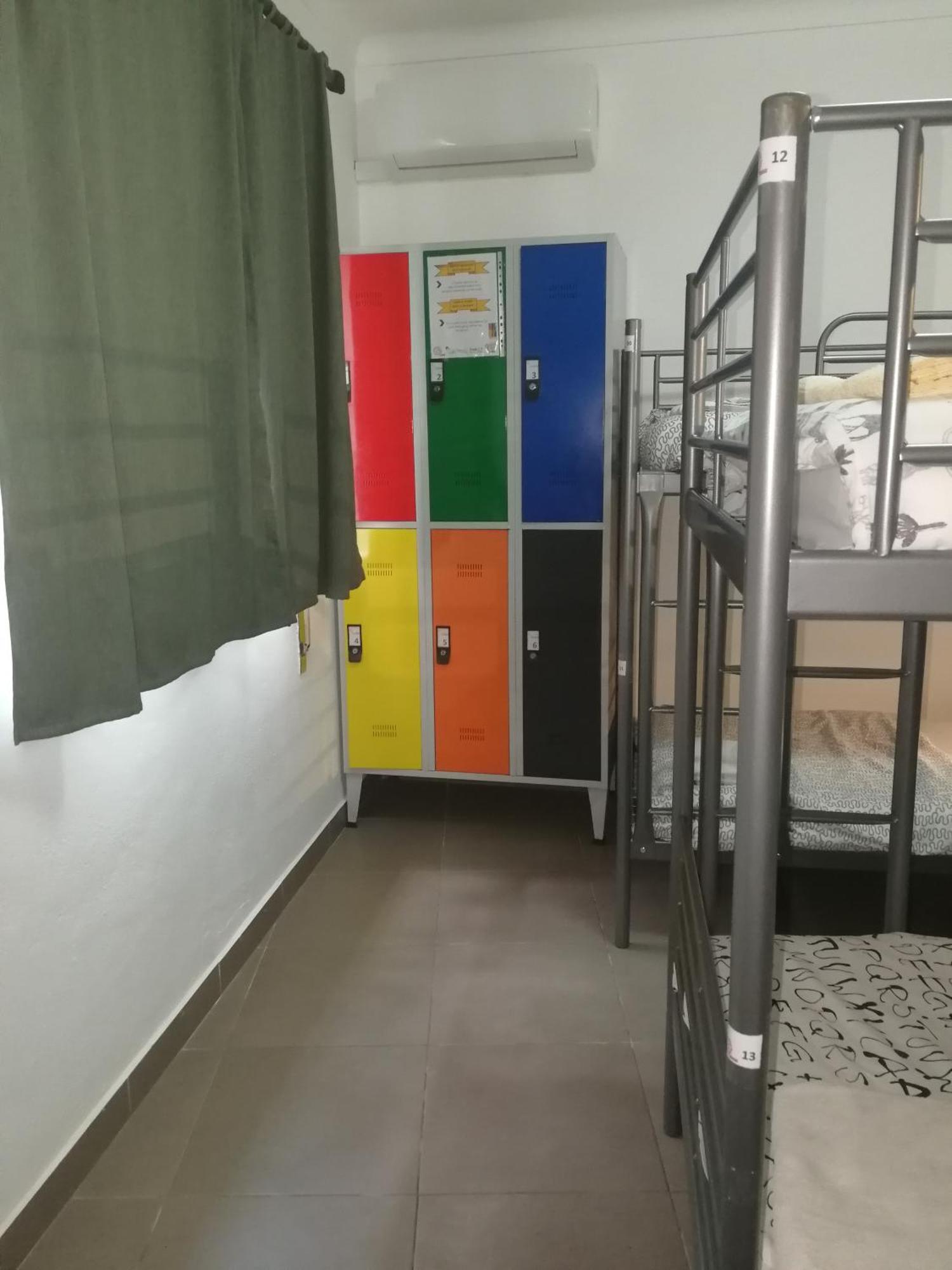 Bunk Bed Mixed Dormitory Room