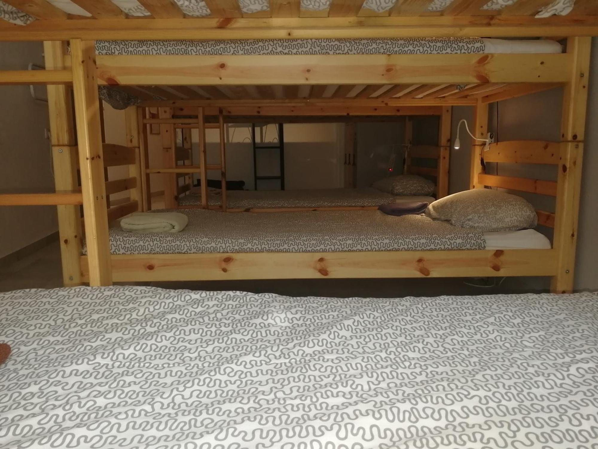 Bunk Bed Mixed Dormitory Room