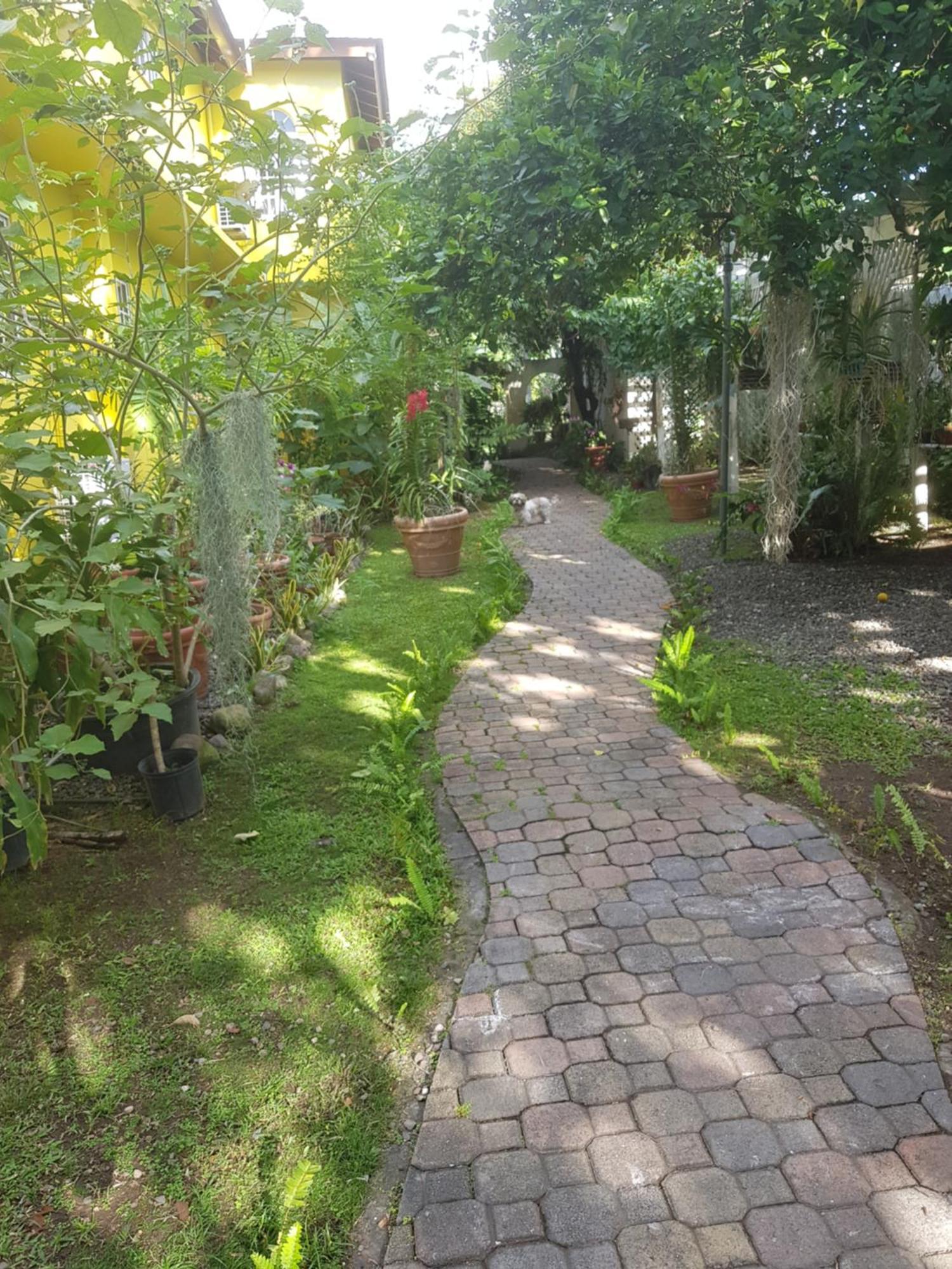 Deluxe Bungalow Garden View