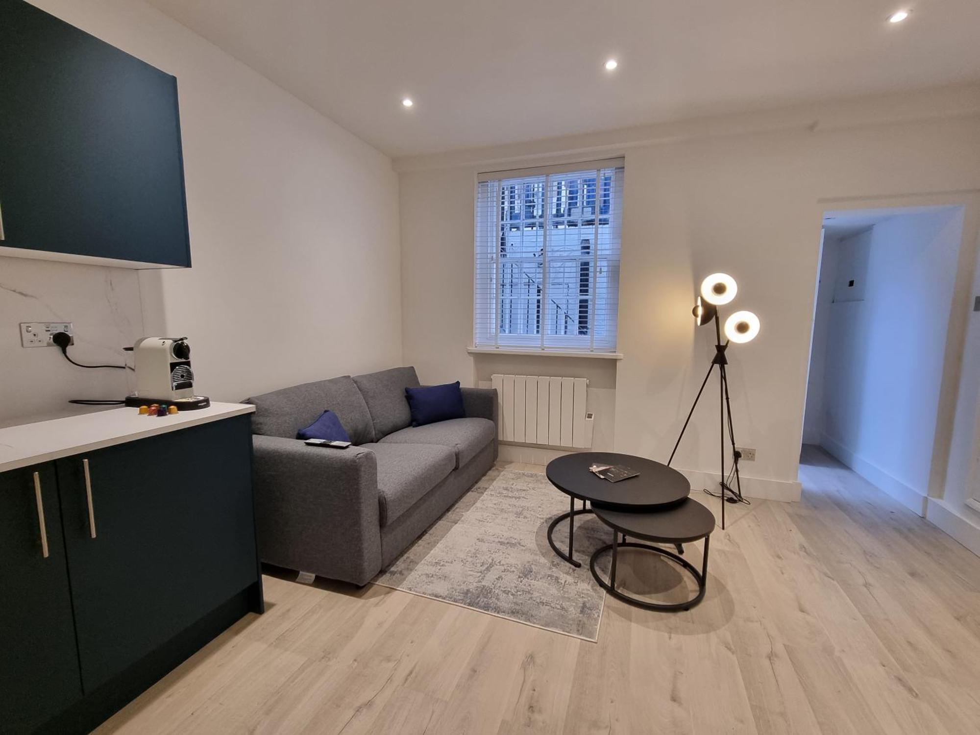Deluxe One-Bedroom Apartment