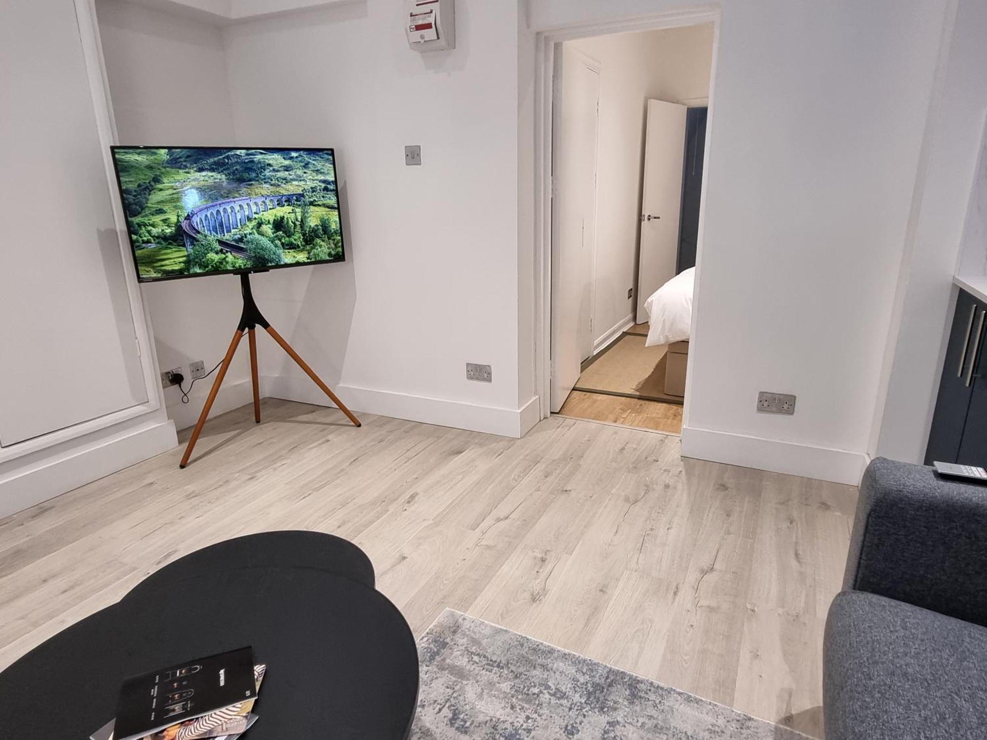 Deluxe One-Bedroom Apartment
