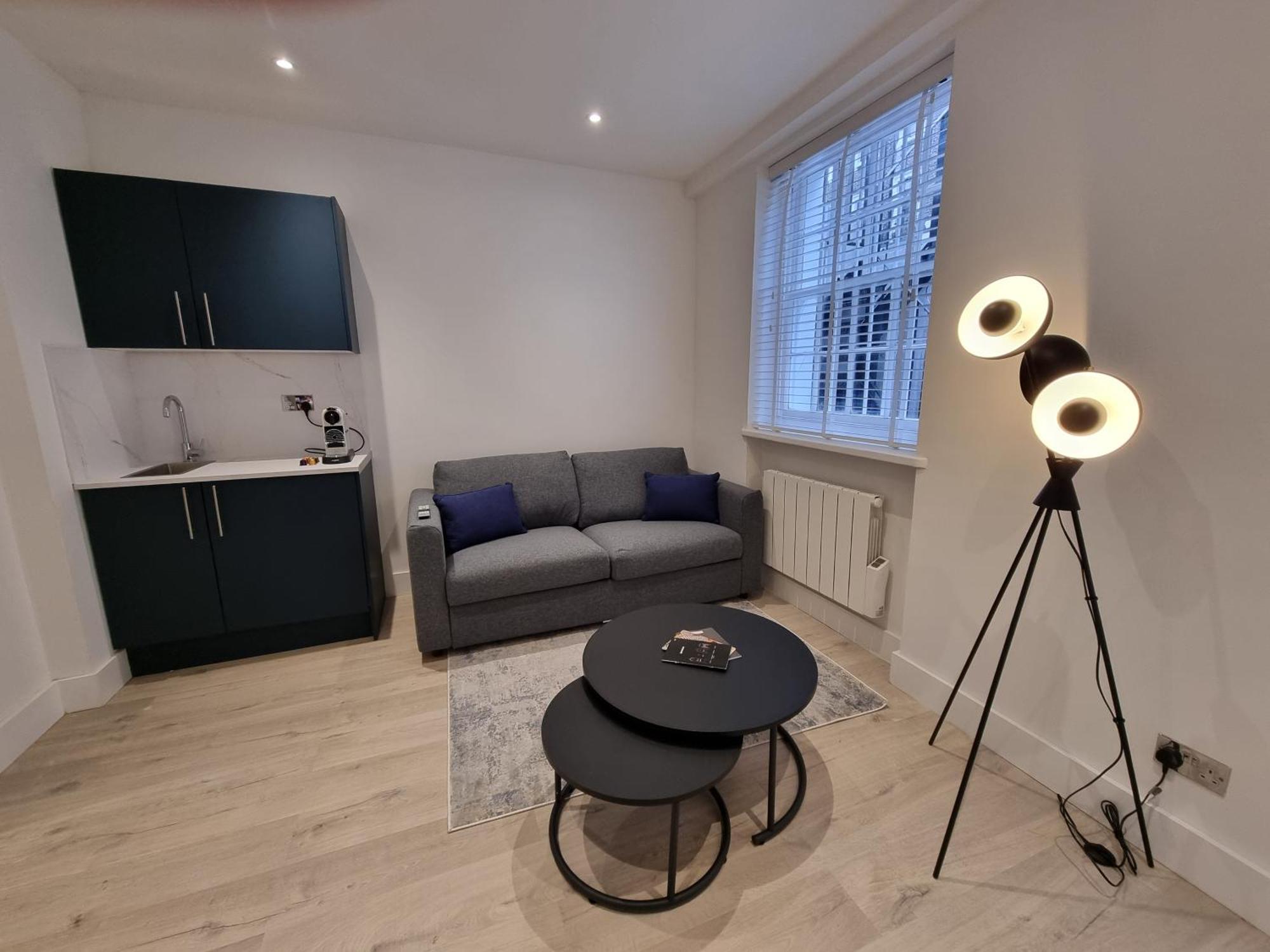Deluxe One-Bedroom Apartment