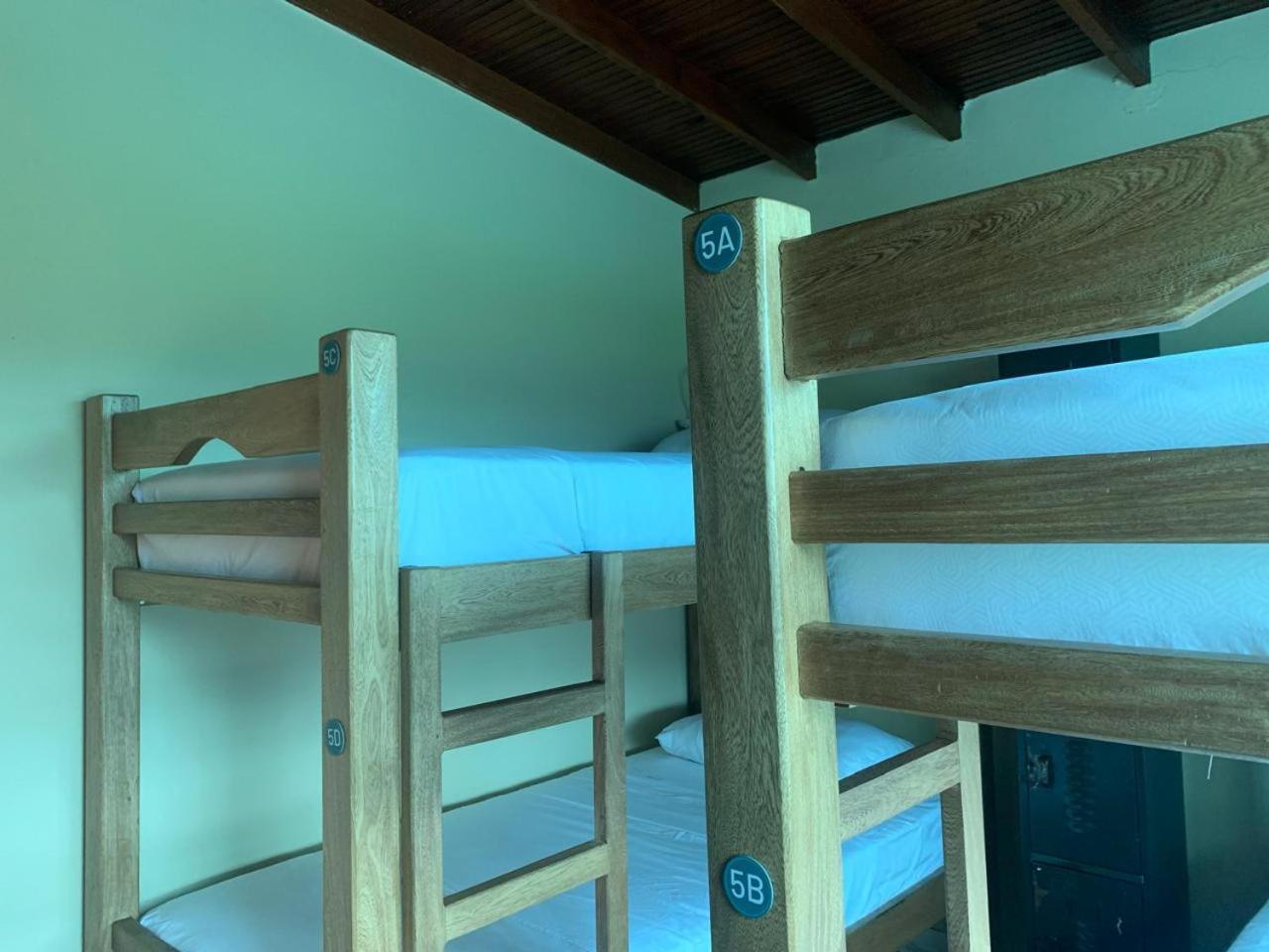 Single Bed Mixed Dormitory Room