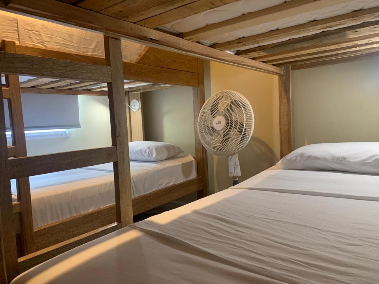 Single Bed Mixed Dormitory Room