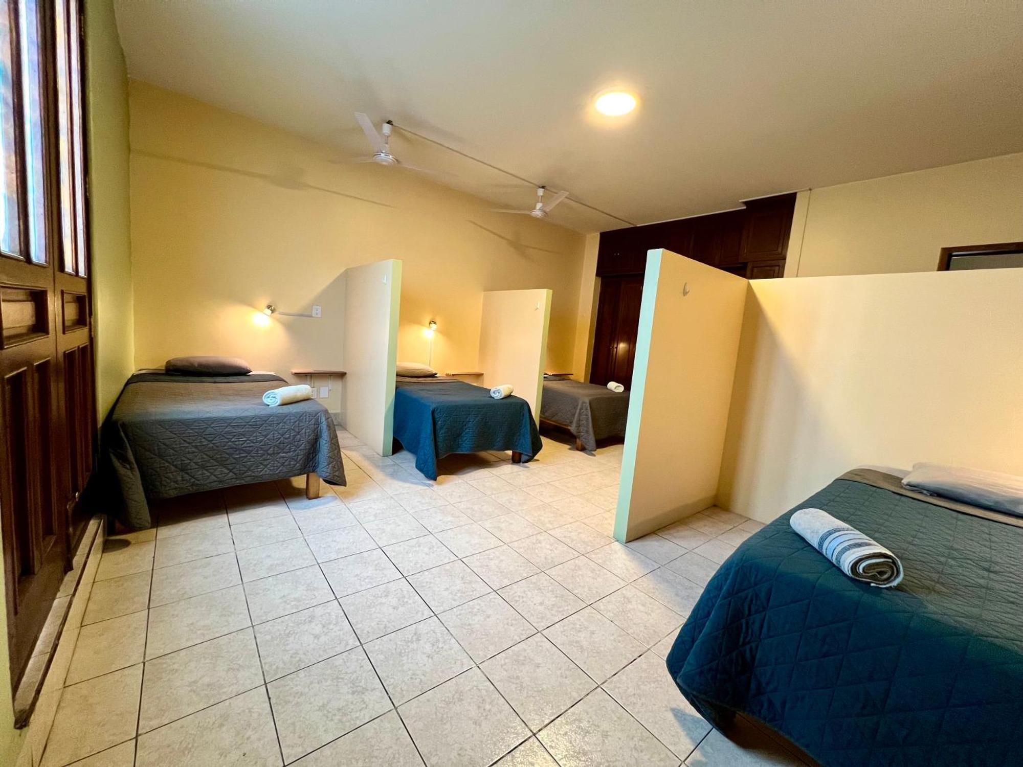 Single Bed in 4-Bed Dormitory Room,1743288206:JPEG