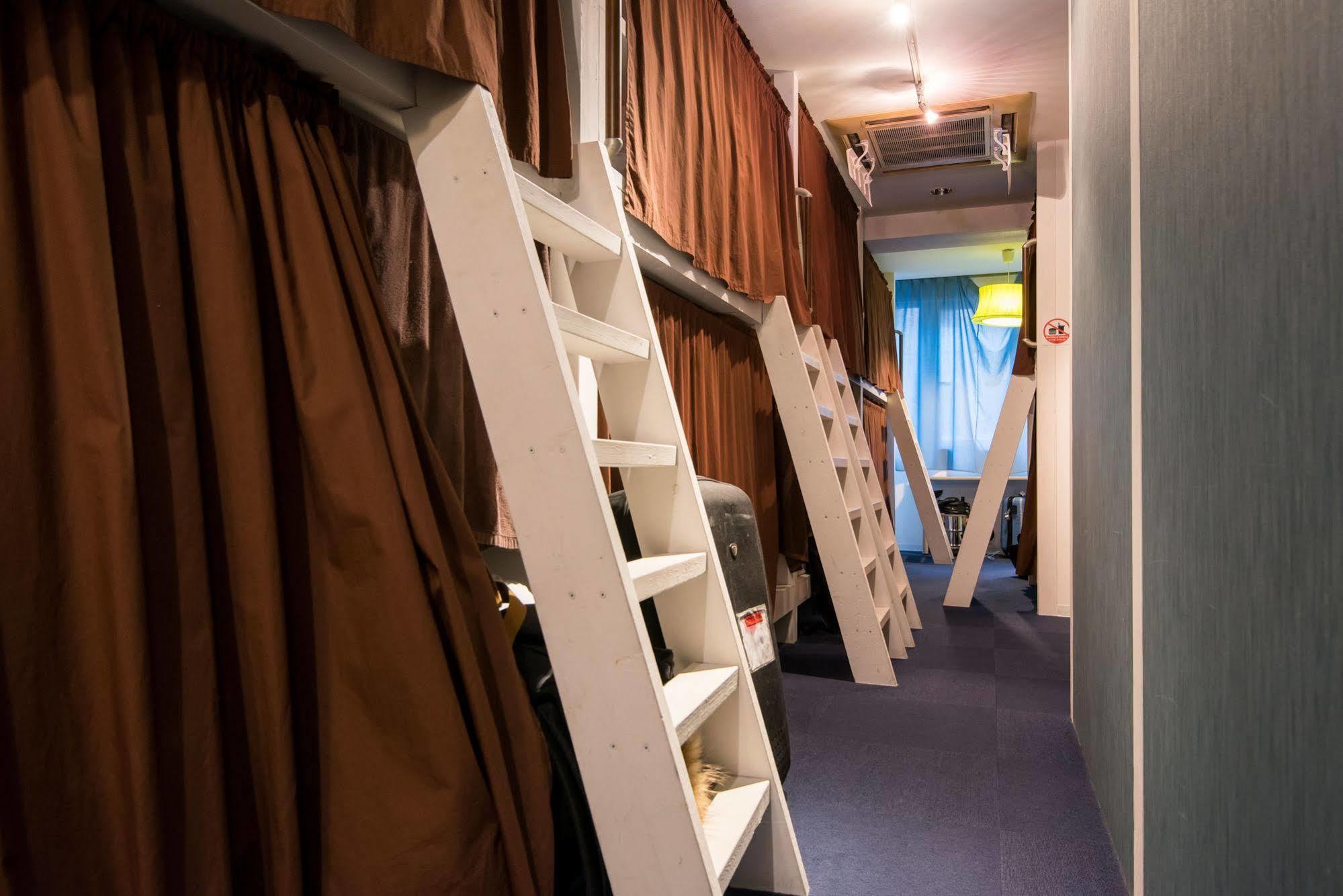 Bunk Bed Mixed Dormitory Room