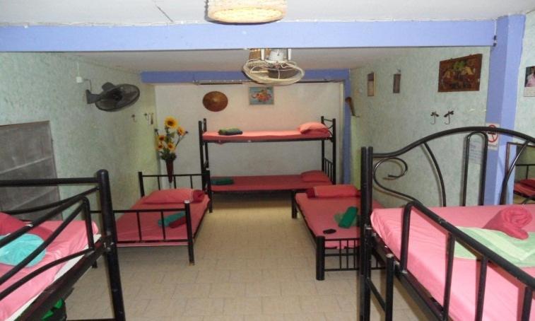 Bett im gemischten Schlafsaal mit 8 Betten