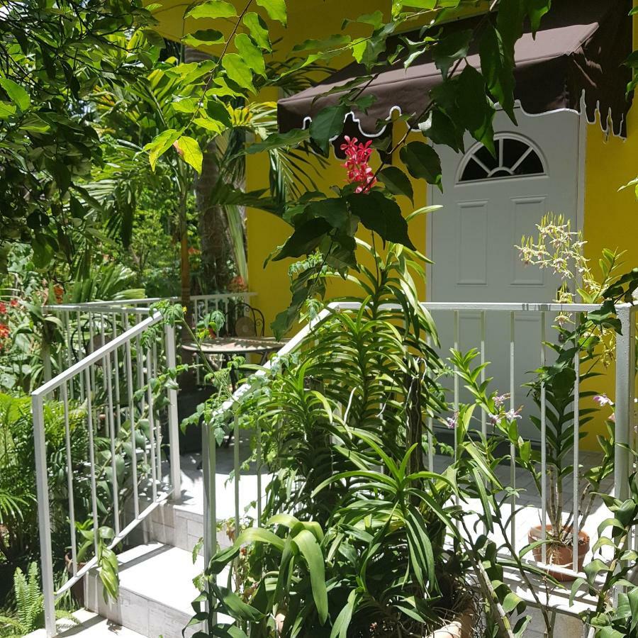 Deluxe Bungalow Garden View