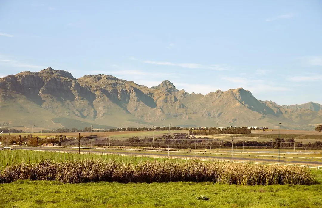 Lovane Boutique Wine Estate And Guesthouse-1
