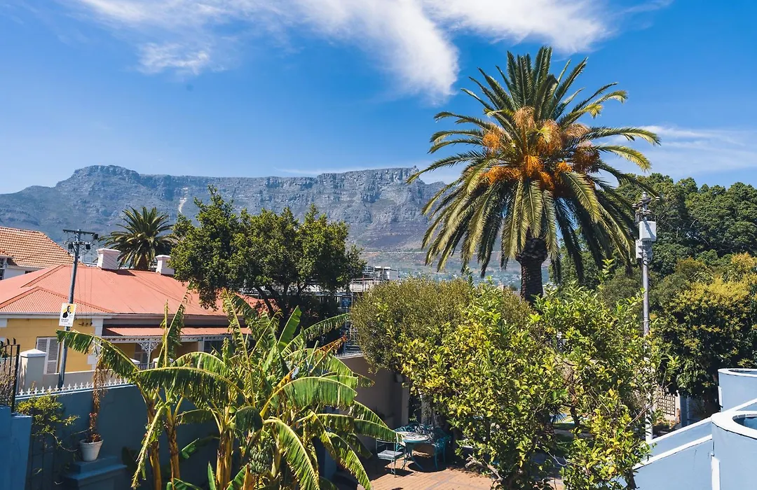 Villa Viva Cape Town-1