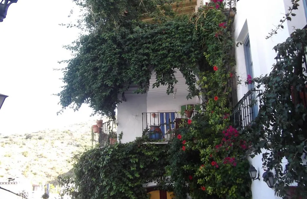 Pension El Torreon-1