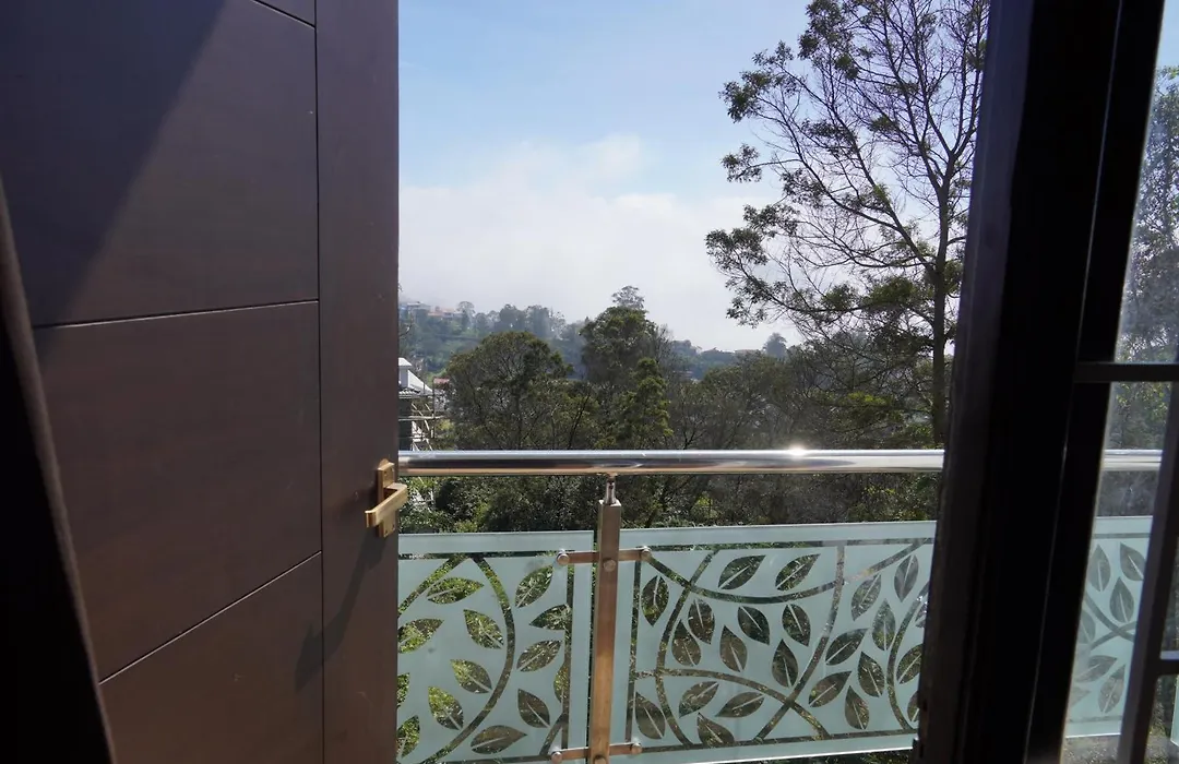 Kodai Drizzle-1