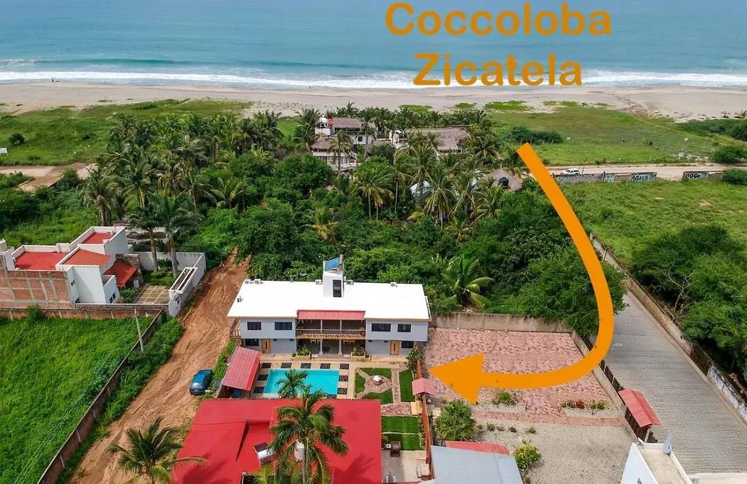 Coccoloba Guest House-1