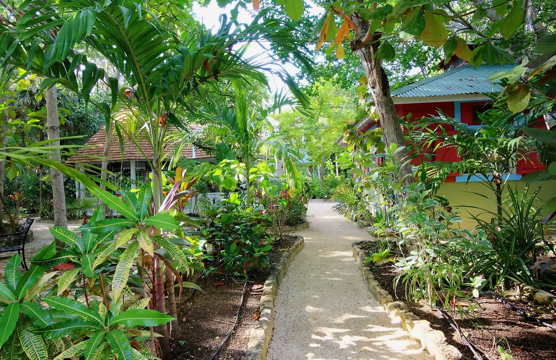 Tingalaya'S Retreat-1