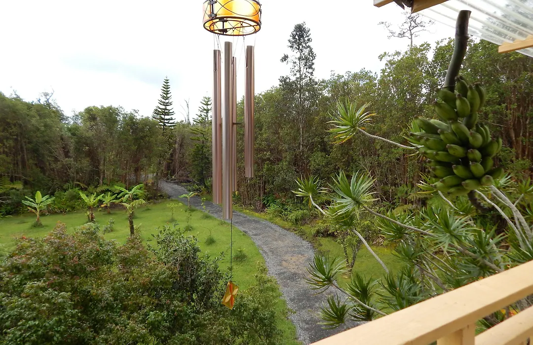 Fern Forest Getaway-1