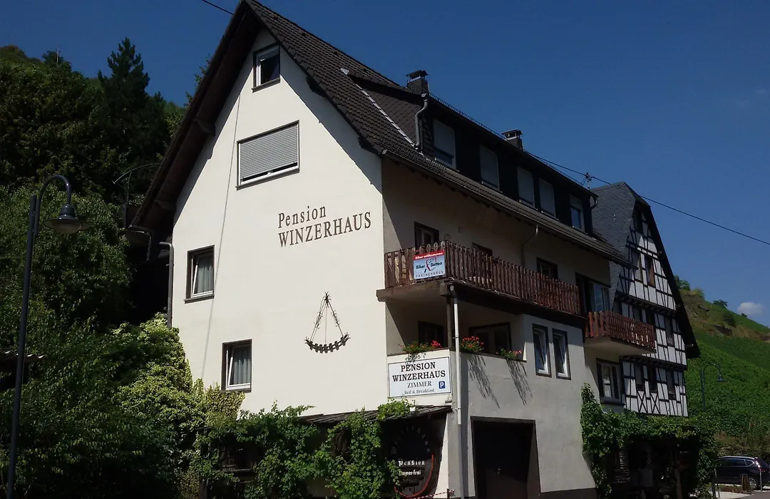 Hotel Pension Winzerhaus-1