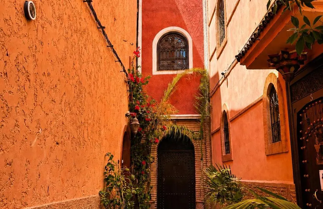 Riad Sesame-1