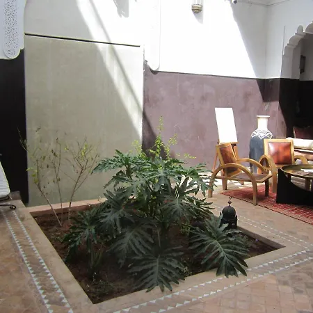Riad Amin-2