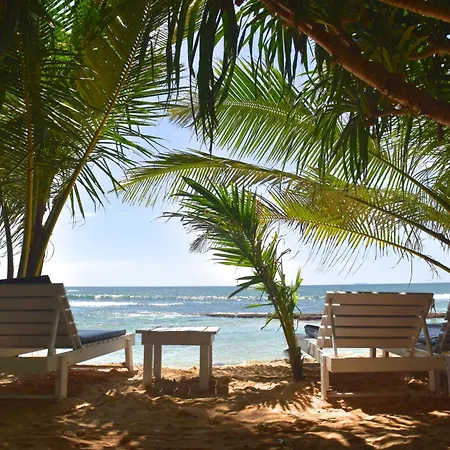 Beach Inns Holiday Resort-3