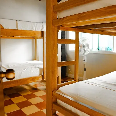 Lucca Hostel Medellín-3