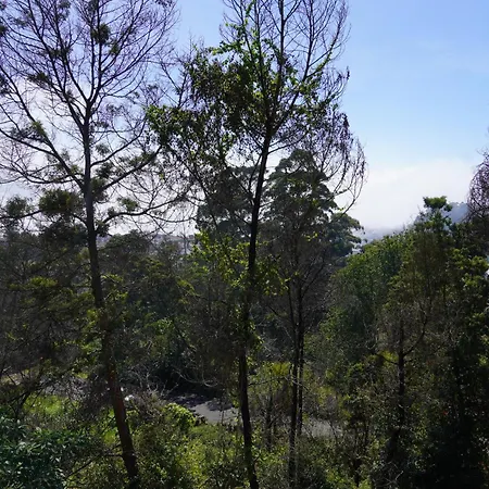 Kodai Drizzle-3