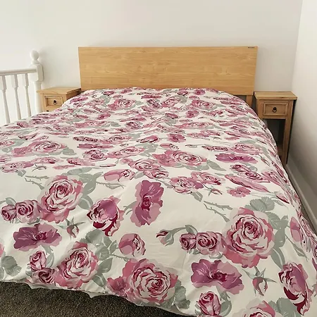 Living Oasis Modern Loft Suit With Mezzanine Bedroom-2