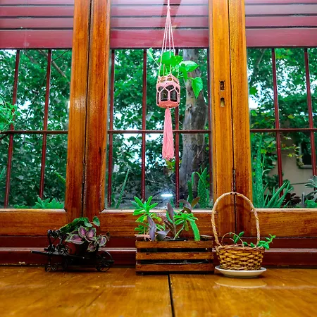 Hostal Confluencia-3
