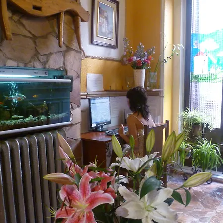 Hostal Comercial-2