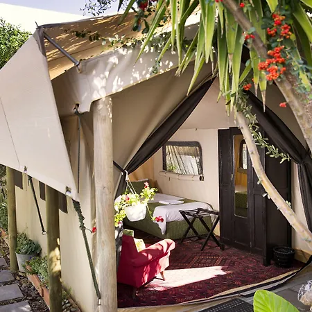 Villa Viva Cape Town-3