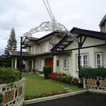 Cocoon Hills-2