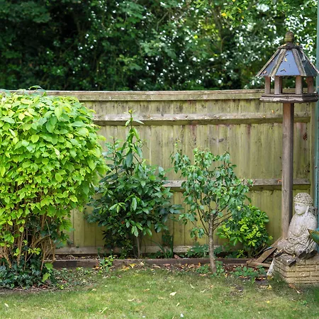 Marlborough House - Guest House-3