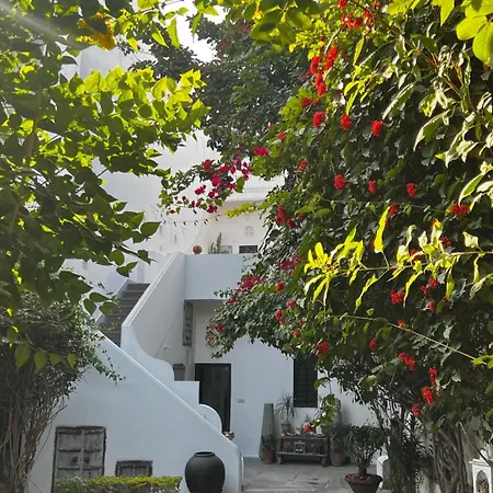 Mosaics Guest House-2