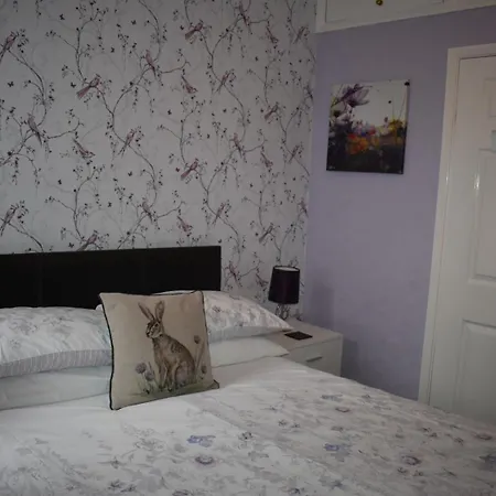 The Phoenix Guest House-2