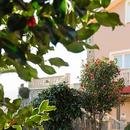 Casa Marino Pensión **-3