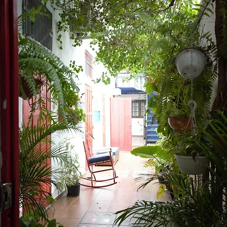 La Puerta Roja Guest House-2
