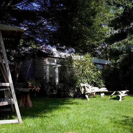 Achter Het Witte Huis-2