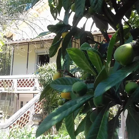 Maison d'hôtes L'îlot bambou-3