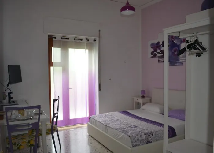 Pets Allowed Hotel Sorrento Experience