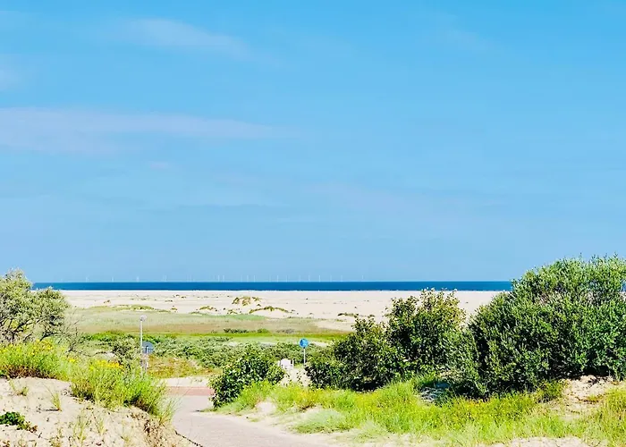 Ferienvermietung: Haus Kormoran Borkum