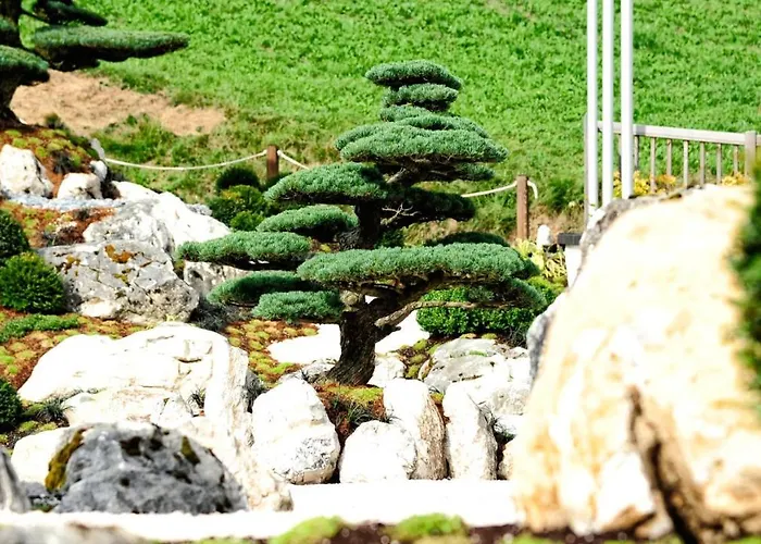 3-Sterne-Hotel: Alps Lodge