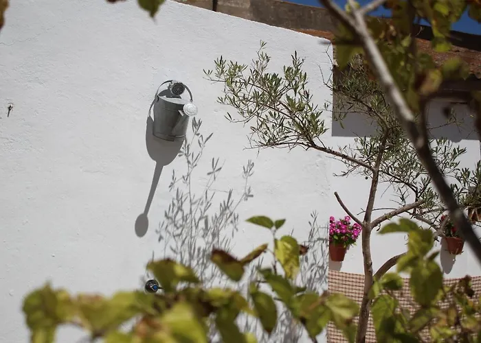 Casa Leonor Vejer