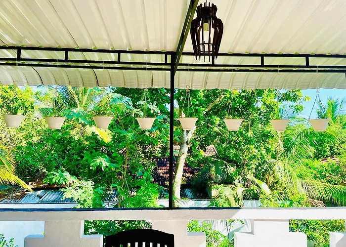 Black Panther Villa