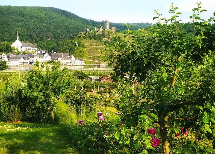 Hotel nahe College: Ferienwohnung Probst