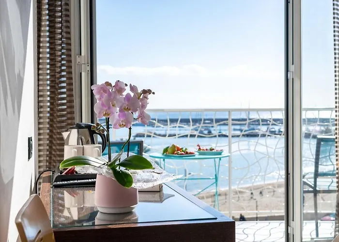 Hôtel accueillant les animaux: Hotel Marinella
