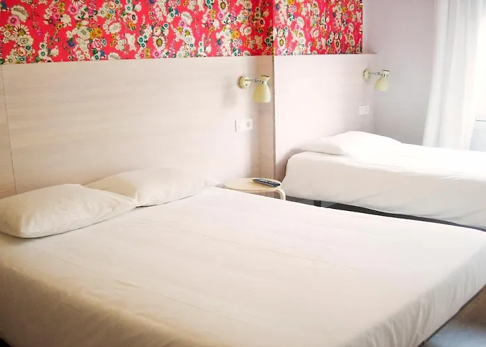 Hotel que admite mascotas: Boreal Calima