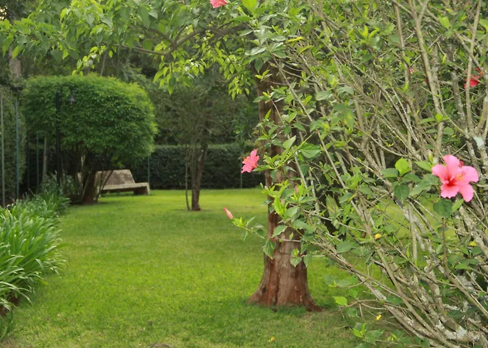 Luxury hotel only: House Of Waine