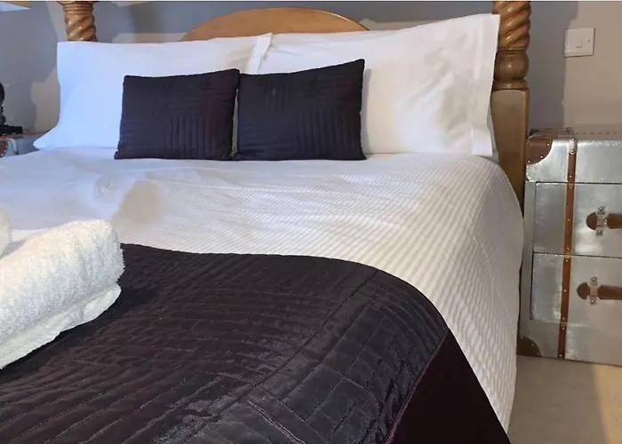 Hotel: The Curious Fox