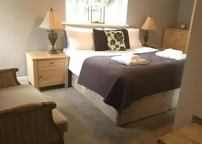 Hotel: The Curious Fox